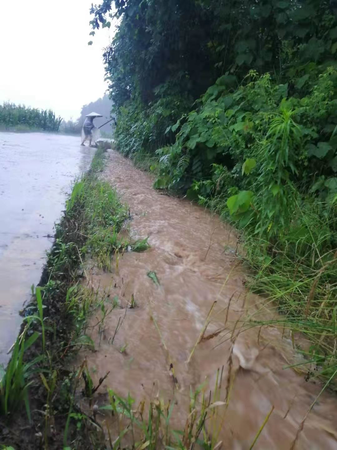 四川巴中普降大到暴雨 局地最大雨量158.4mm