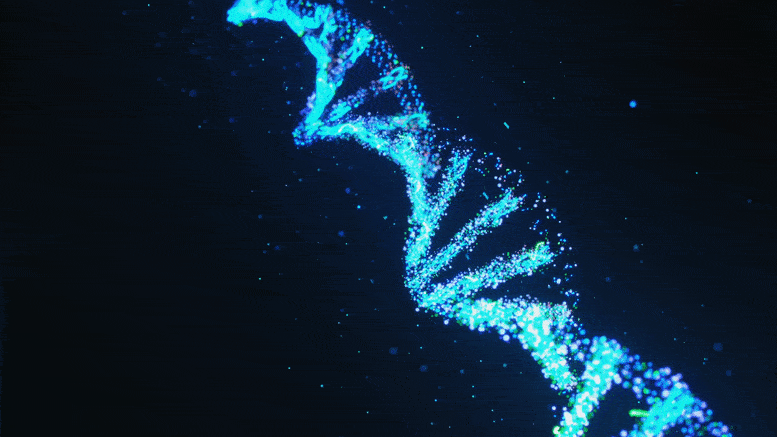 新发现表明人类细胞可将RNA序列写回DNA