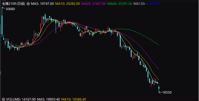 跌跌跌:生猪期货价格创历史新低 多只养猪股已腰斩 周期股也大面积调整