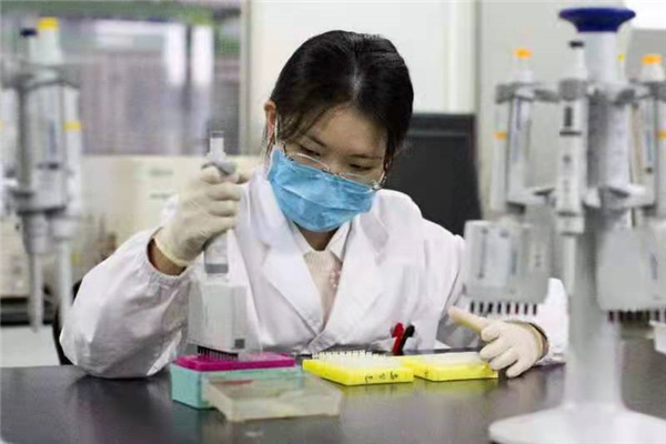 图说：实验室人员正在进行进境种猪疫病的抗体检测。 上海海关供图