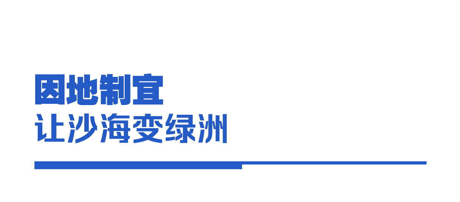 “因地制宜，科学规划”是习近平总书记对国土绿化提出的要求。