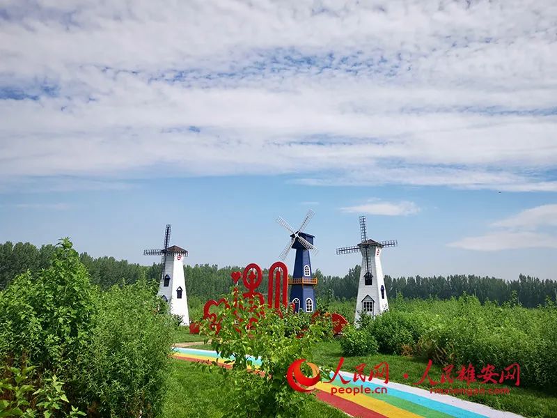 提升改造后的雄安新区安新县美不胜收.韩冰 摄