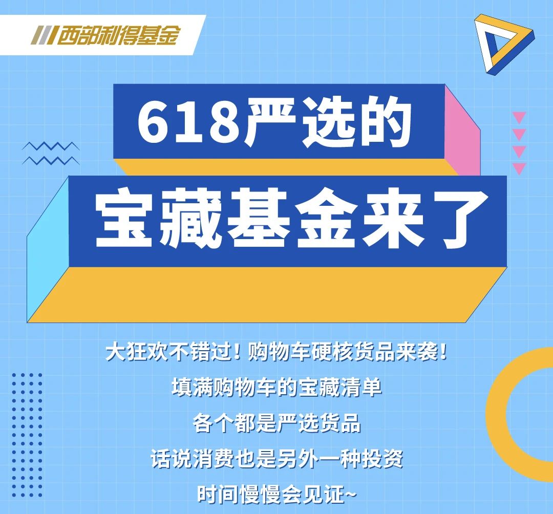 618严选的宝藏基金来了