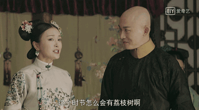 来源/电视剧《延禧攻略》片段