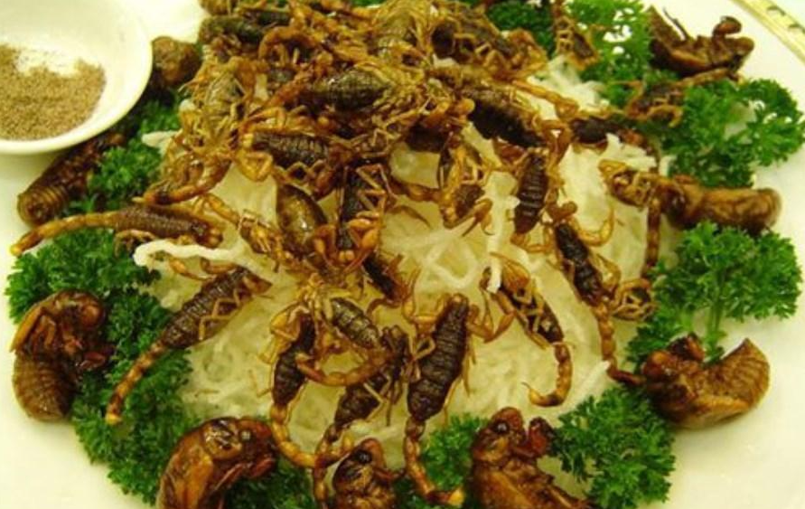 油炸全蝎是山东人酒局最后的堡垒