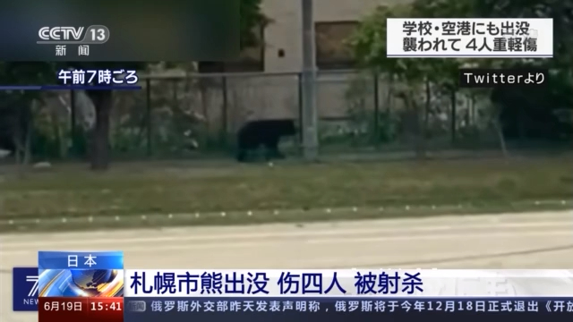 日本札幌：野熊出没导致四人受伤 目前已射杀