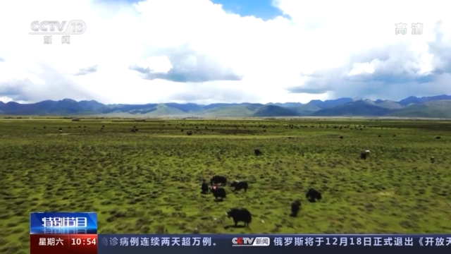 沿着高速看中国丨有了酥油、“拉拉”、酸奶 西藏牧民奔向新生活