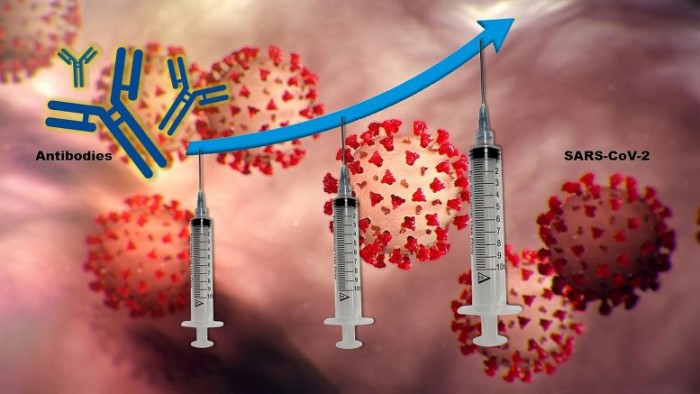 研究：第三剂COVID-19疫苗或能为器官移植受者提供更好的保护