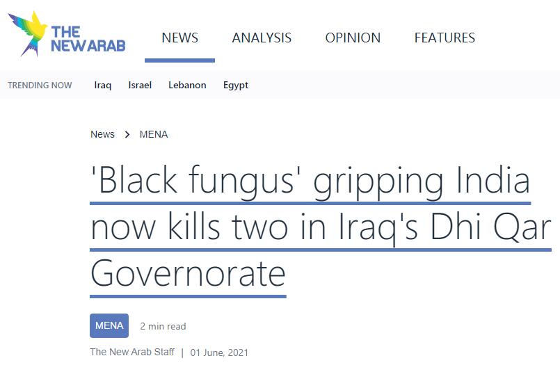 外媒：伊拉克报告2例毛霉菌病死亡病例