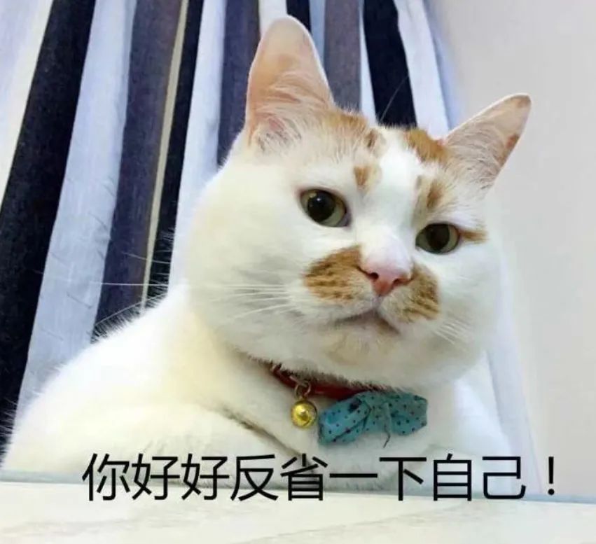 拜托,你走错剧组了!