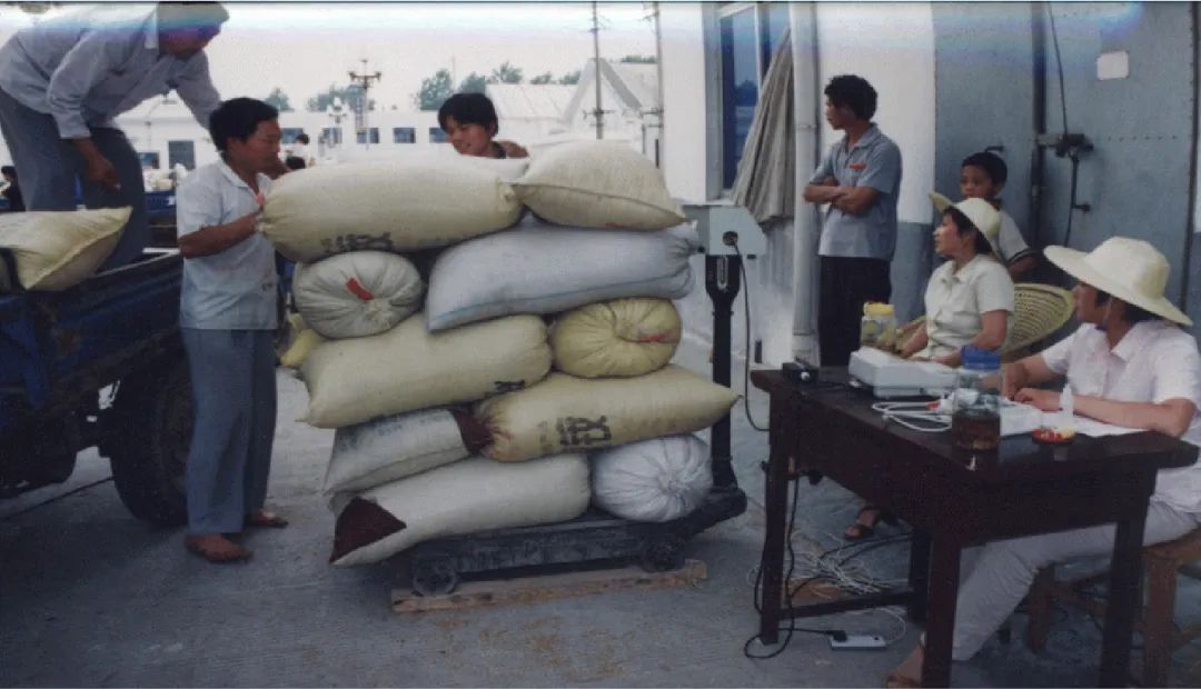 探秘"大国粮仓":这部解决吃饭问题的伟大奋斗史仍在继续