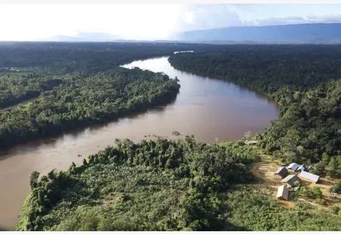 亚马逊雨林 图片来源：新华社