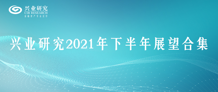 集论兴业研究2021年下半年展望合集