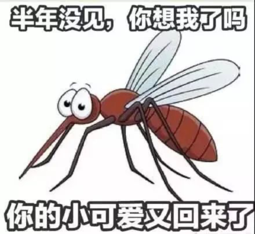 为什么被蚊子叮的总是你？