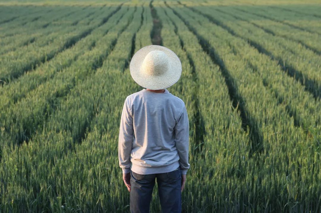 大智慧中国道路开天辟地