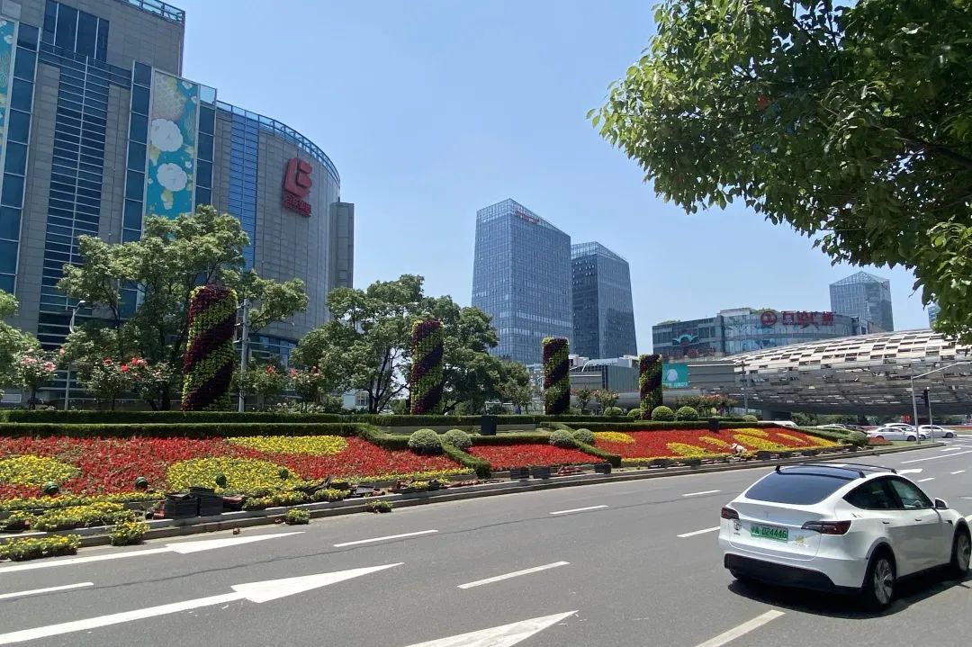 探索五角场区域绿化换新颜这些变化你发现了吗