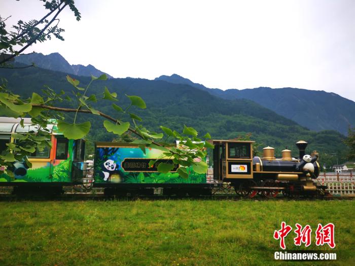 熊猫主题观光小火车. 苑菁菁 摄