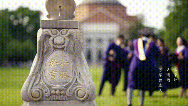 sql数据库中数据类型