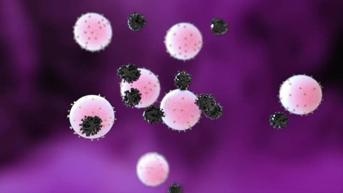 纳米十二合金与SARS-CoV-2病毒结合。资料来源：北卡罗来纳州立大学