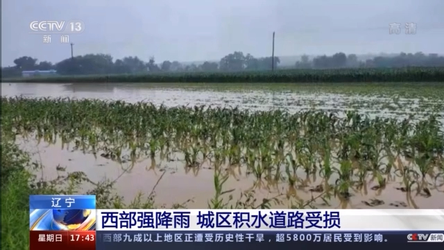 因遭遇持续强降雨 辽西部分城市城区道路受损