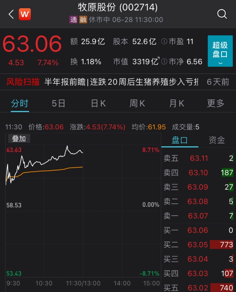 连跌20周后止跌：猪价4天回升15% 猪肉股强势反弹