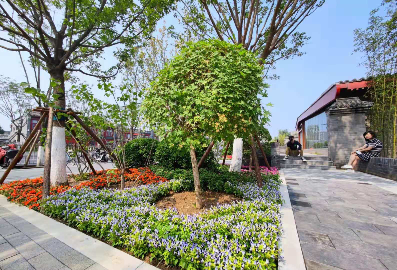 花坛簇拥平安大街变美了西城段35公里中央绿化带建成