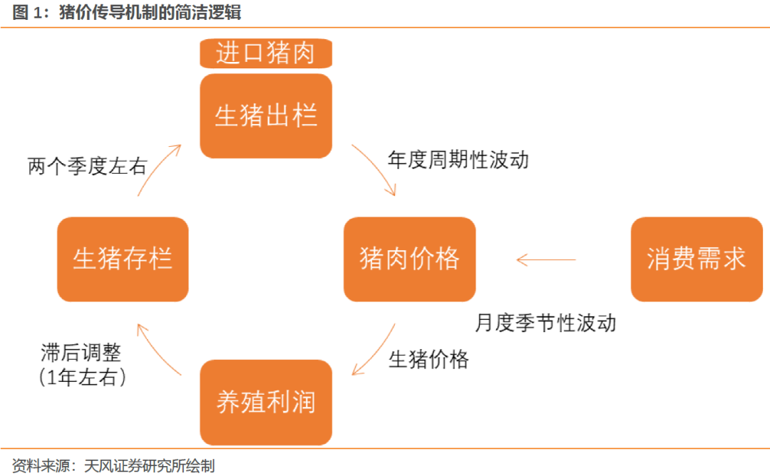 天风证券：猪价何时见底？