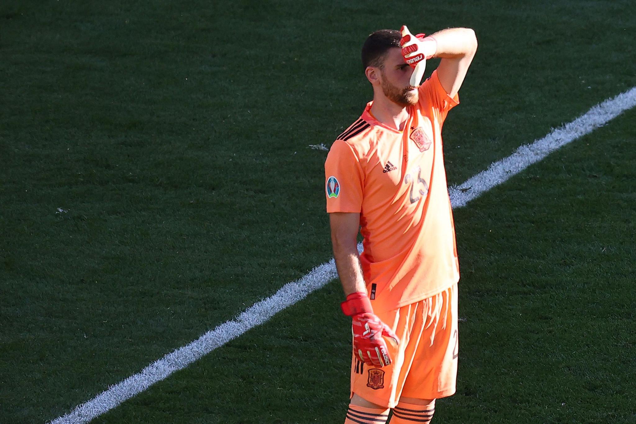 无奈的西班牙门将西蒙.