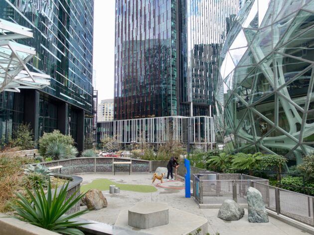 美国遭遇罕见热浪亚马逊总部设纳凉中心向公众开放