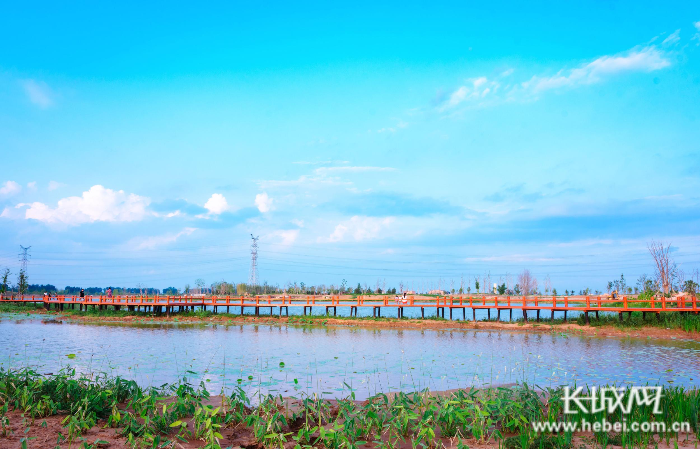 邯郸市肥乡区水位埋深同比回升8.84米
