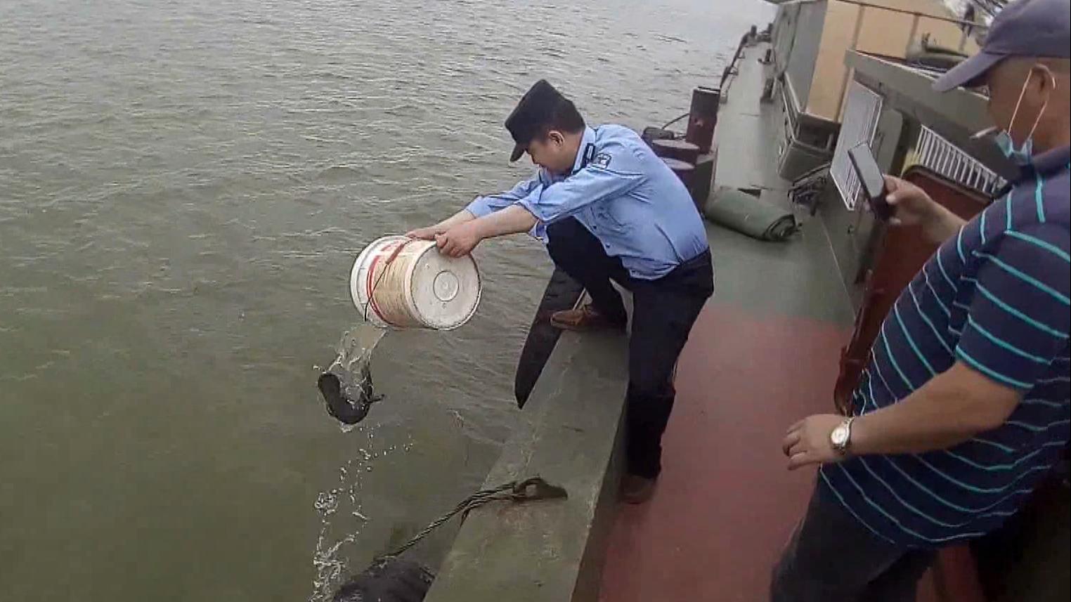 江苏盐城村民捕获国家二级保护动物“娃娃鱼” 派出所民警放生