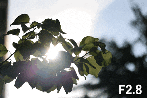 不同光圈档位下RF&nbsp;100mm F2.8 L MACRO IS USM的炫光测试对比GIF图2