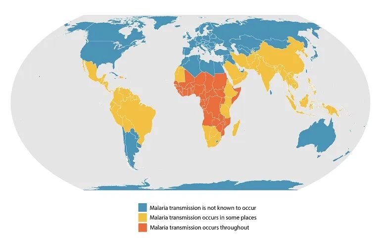 图片说明:全球疟疾传播地图