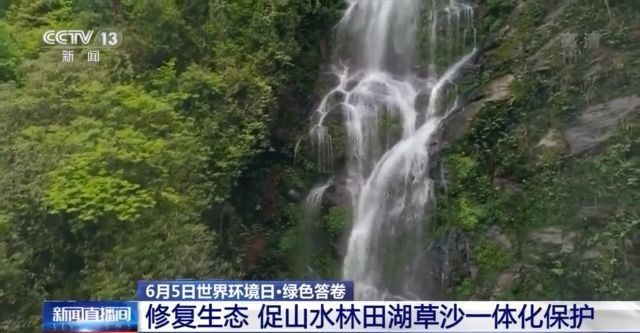 搭建“生物塔”、改善“生态孤岛”……各地这样修复生态环境