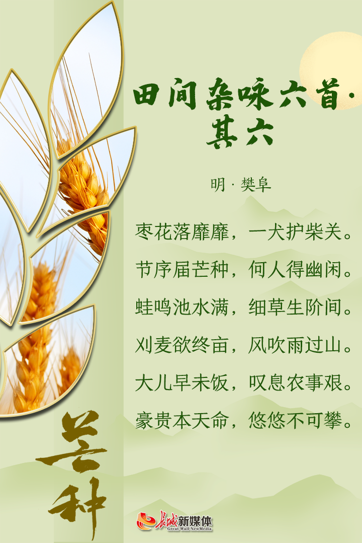 芒种61诗节风吹麦成浪蝉鸣夏始忙