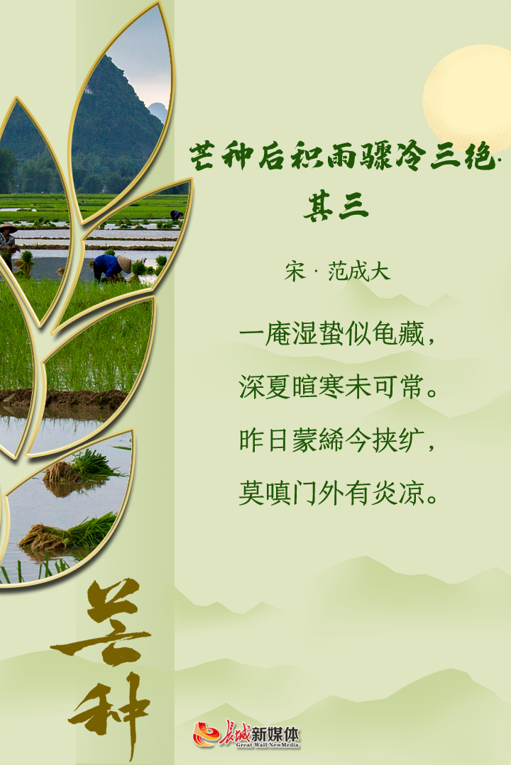 芒种61诗节风吹麦成浪蝉鸣夏始忙