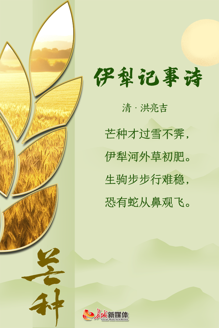 芒种61诗节风吹麦成浪蝉鸣夏始忙