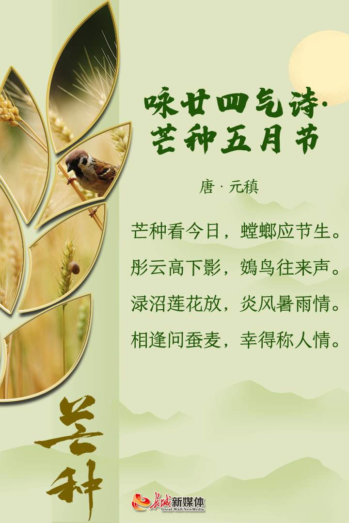 芒种61诗节风吹麦成浪蝉鸣夏始忙