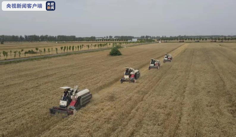 河南麦收已完成近三分之一 夏播面积累计1729万亩