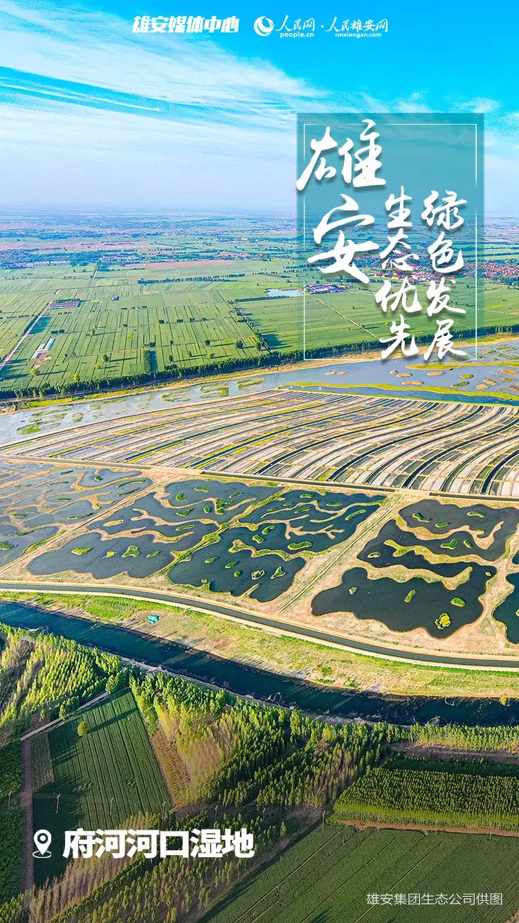 请查收一大波雄安高清美图来啦