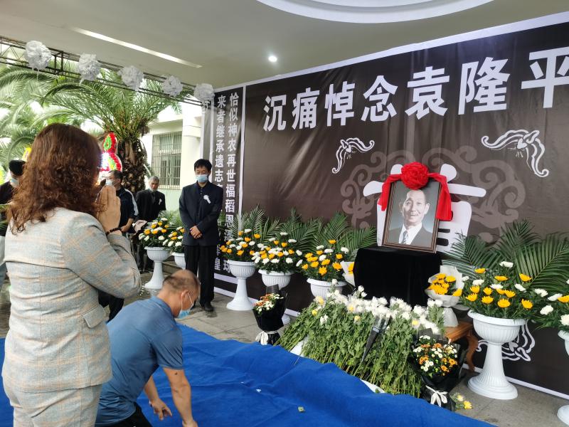 袁隆平生前为什么18年保持一个发型?原因来自这间10平方米的小屋