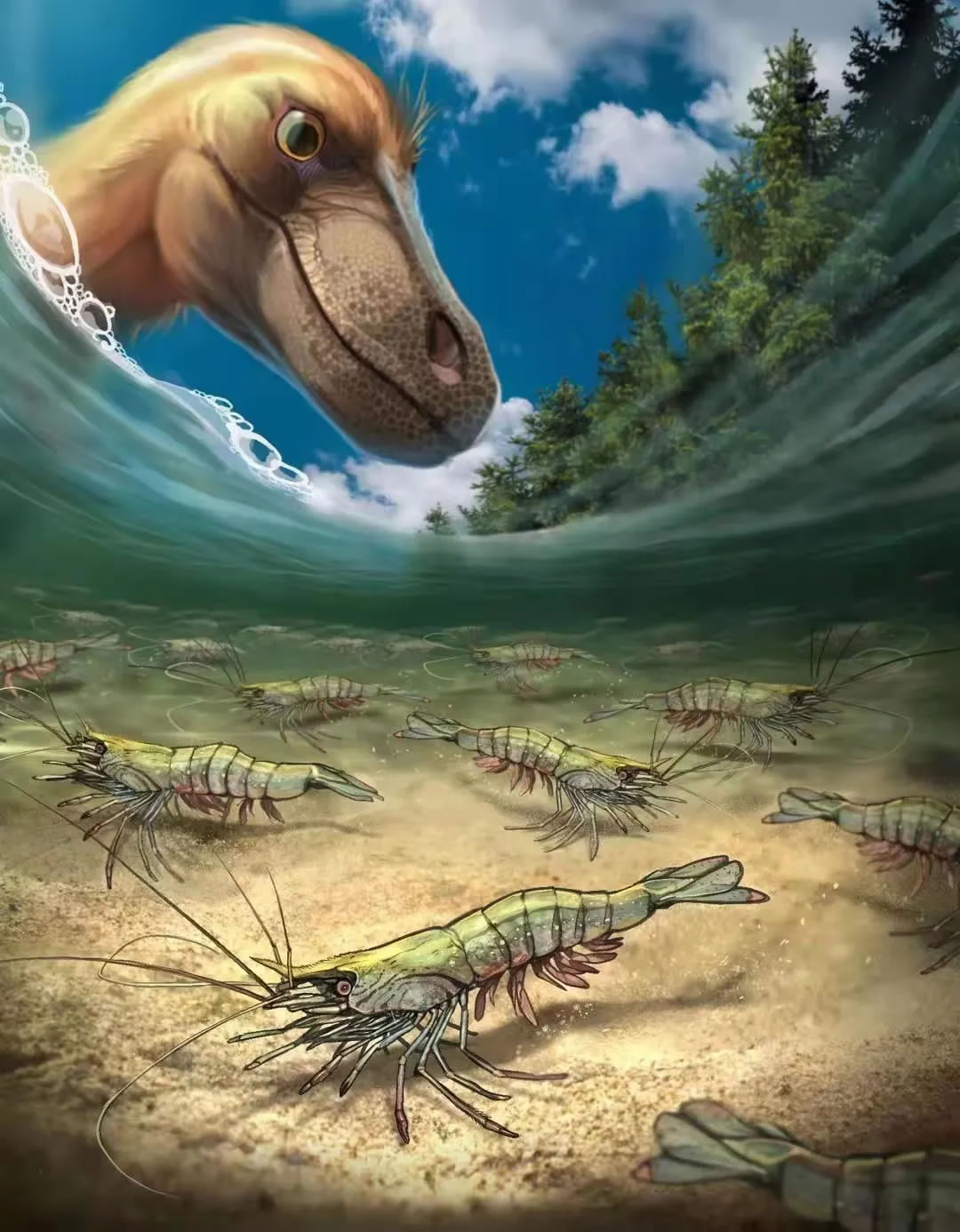 缅甸琥珀虾类化石让我们“瞥见”9900万年前淡水环境