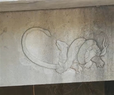 　　墓门上的“蛇缠龟”花纹 视频截图