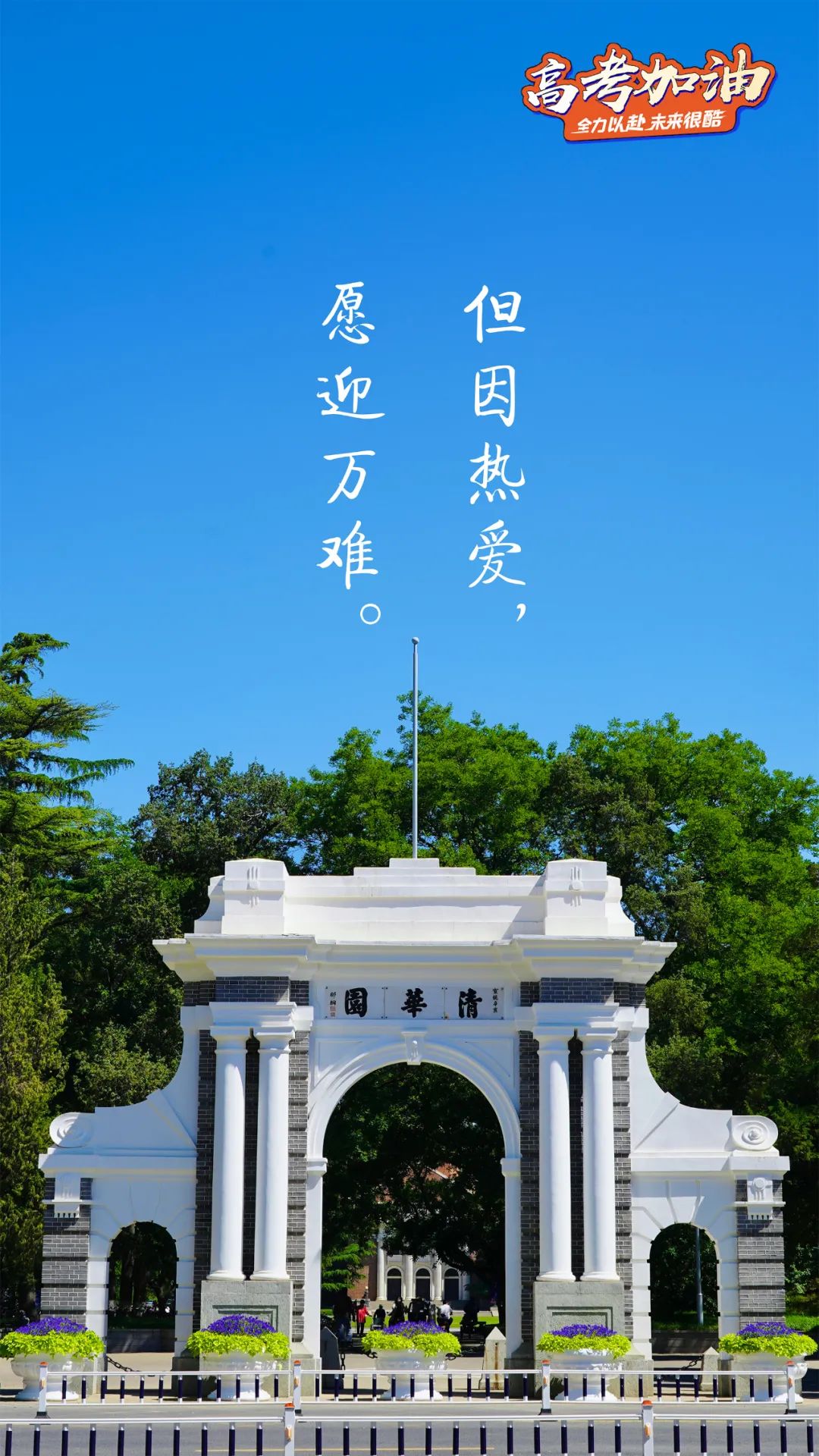 清华锦鲤高考顺利