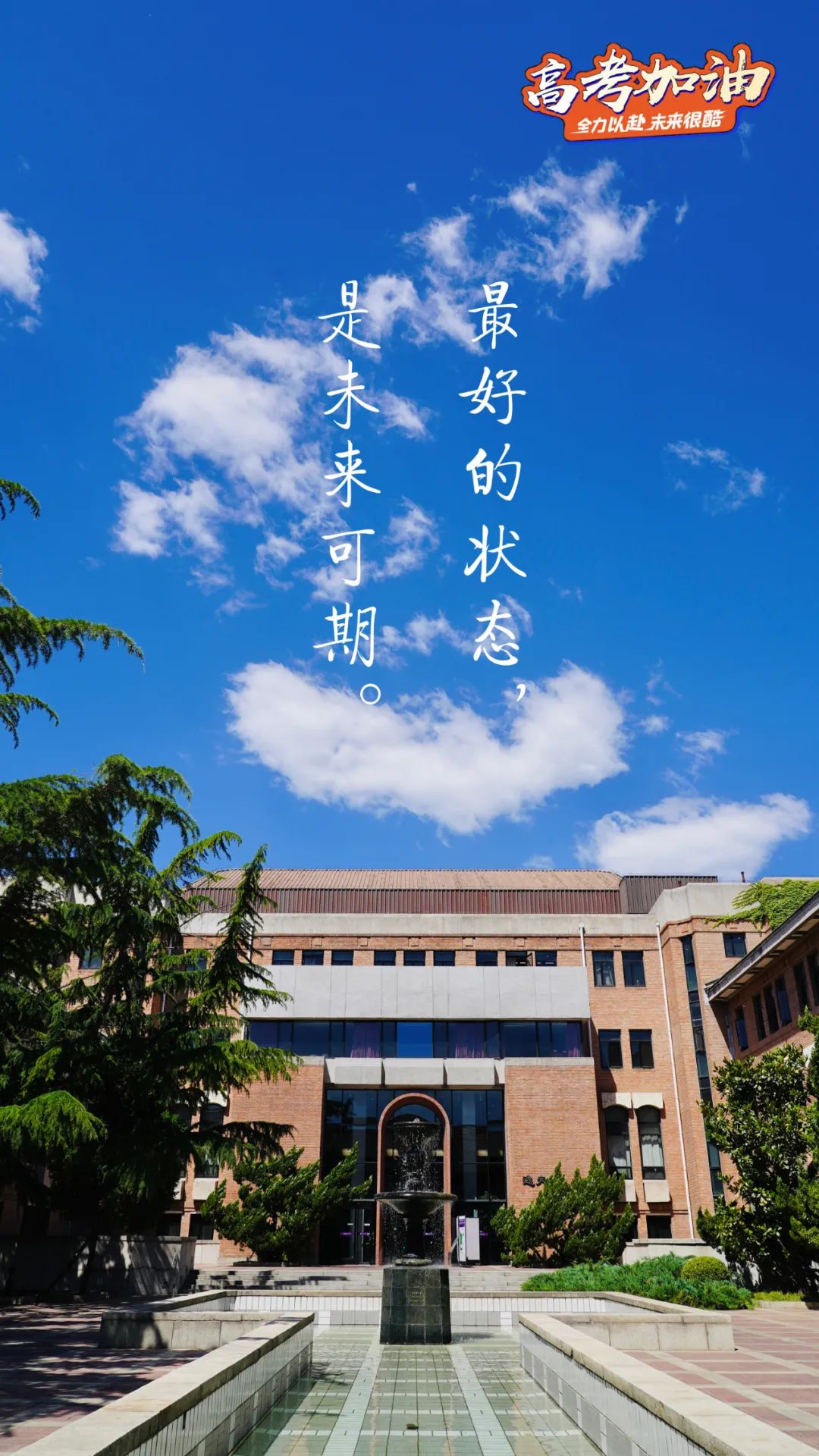 清华锦鲤高考顺利