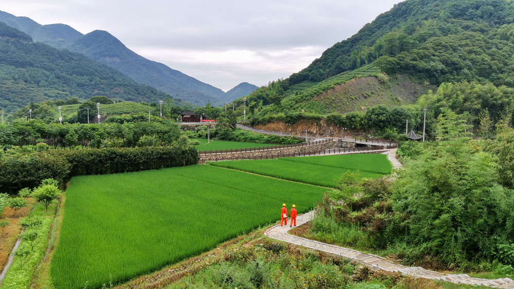 &nbsp;&nbsp;走进田间地头.