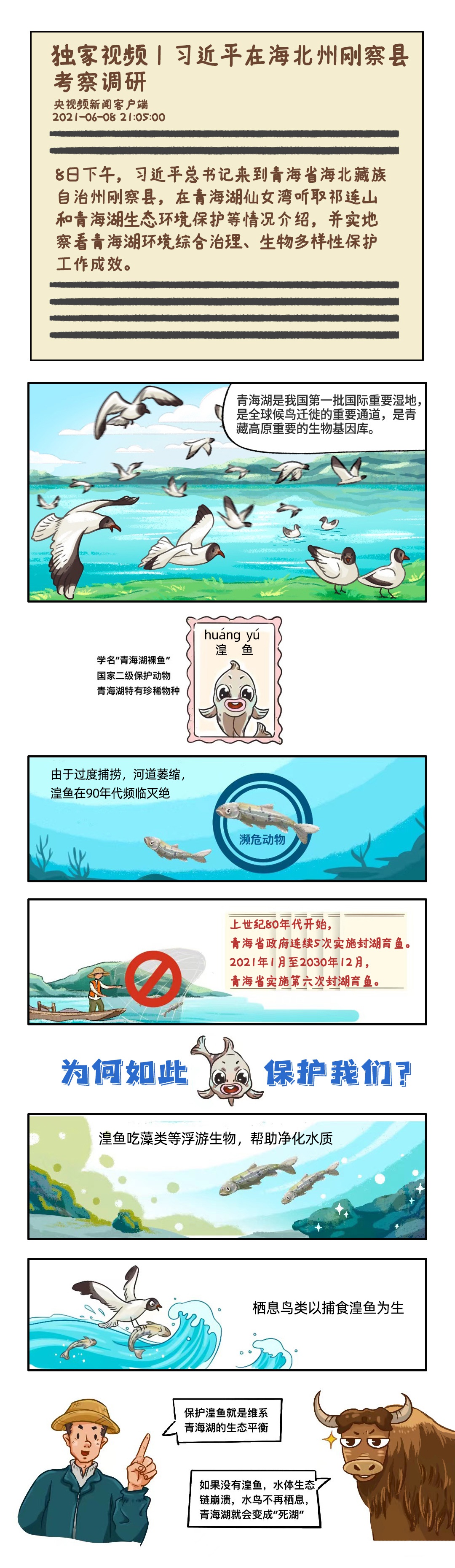 时政图解丨小湟鱼为你解锁青海湖生态密码