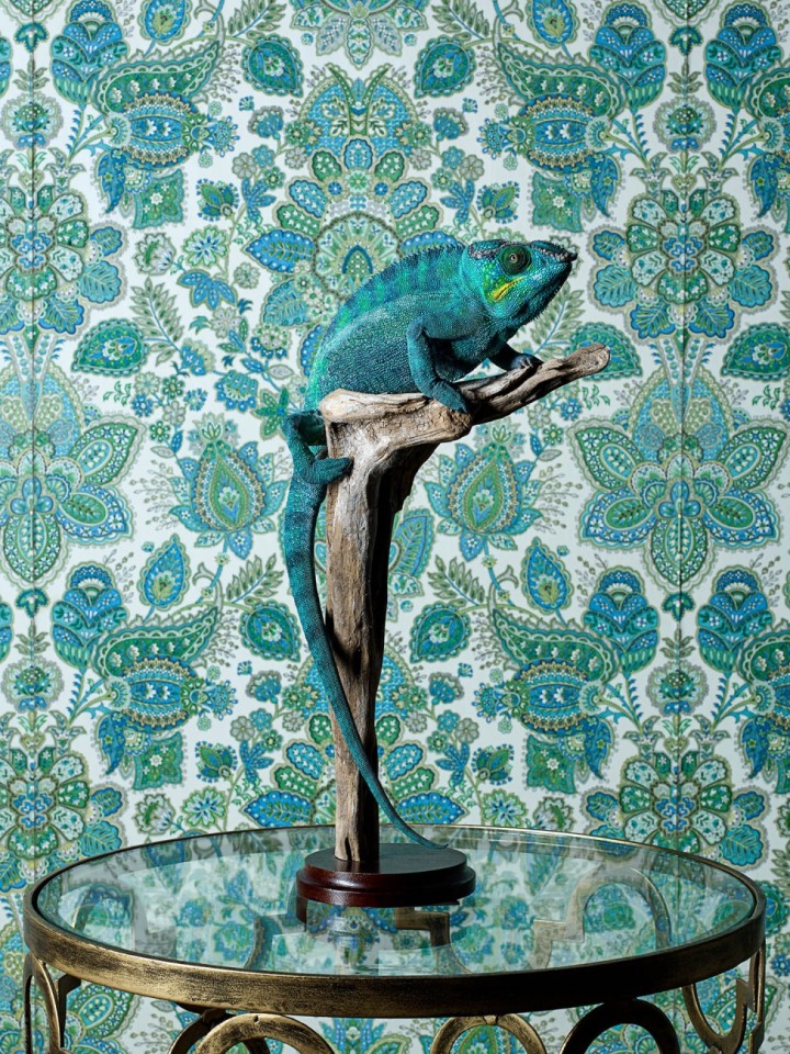 2021年锡耶纳创意摄影奖作品展示的超现实主义作品