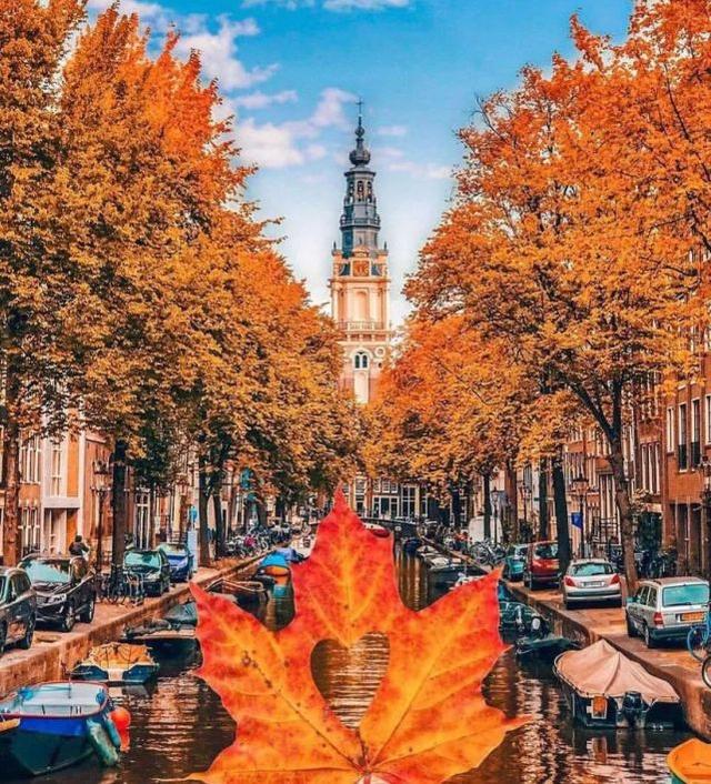 图源：Visit Amsterdam