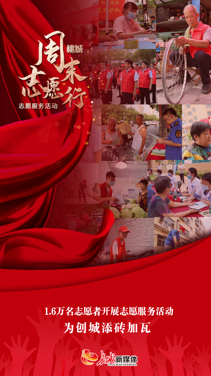 海报集桃城周末志愿行常态化主题志愿服务活动启动